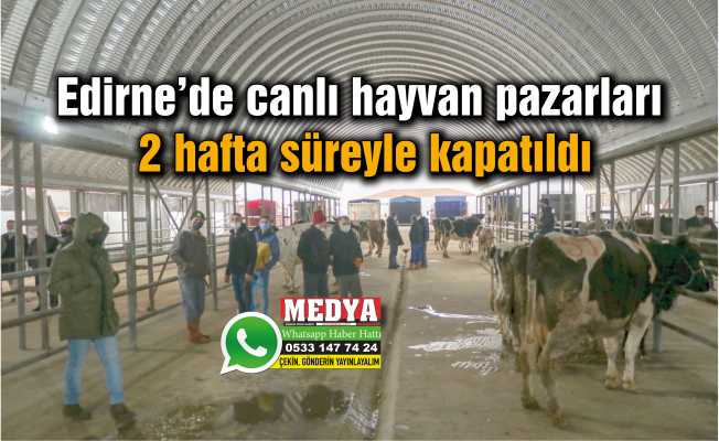 Edirne’de canlı hayvan pazarları 2 hafta süreyle kapatıldı