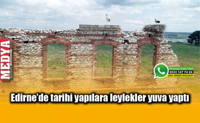 Edirne'de tarihi yapılara leylekler yuva yaptı