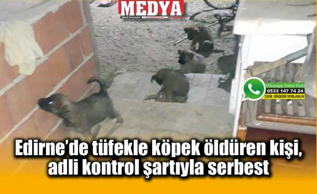 Edirne'de tüfekle köpek öldüren kişi, adli kontrol şartıyla serbest