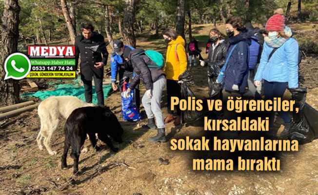 Polis ve öğrenciler, kırsaldaki sokak hayvanlarına mama bıraktı