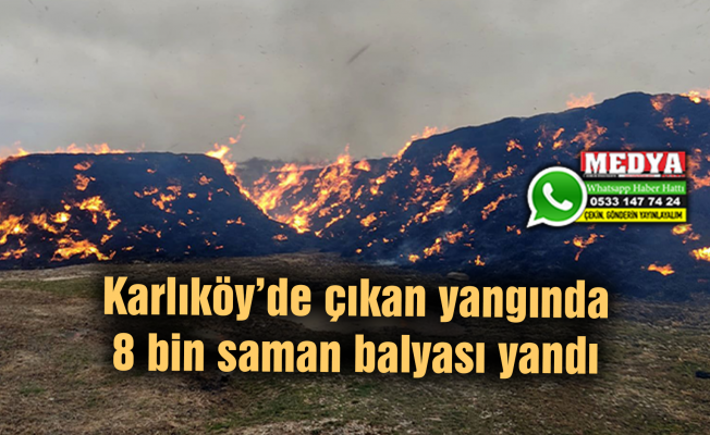 Karlıköy’de çıkan yangında 8 bin saman balyası yandı