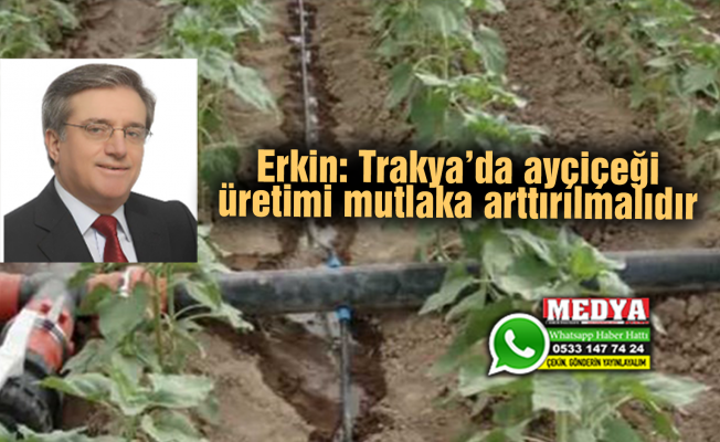 Erkin: Trakya’da ayçiçeği üretimi mutlaka arttırılmalıdır
