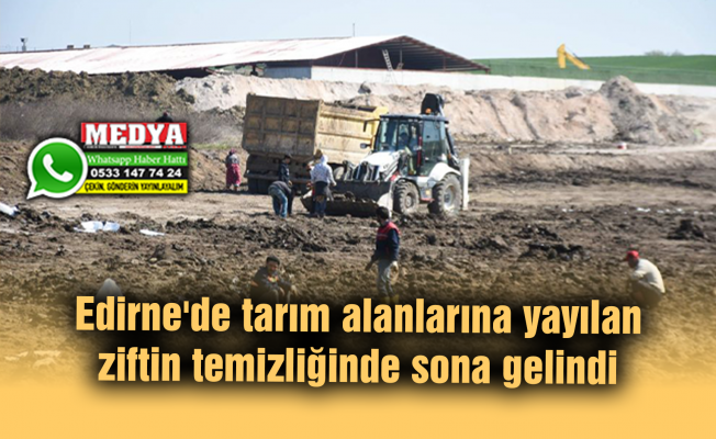 Edirne'de tarım alanlarına yayılan ziftin temizliğinde sona gelindi
