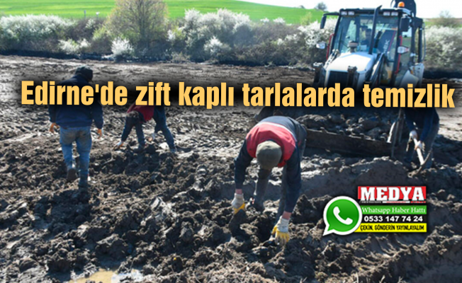 Edirne'de zift kaplı tarlalarda temizlik