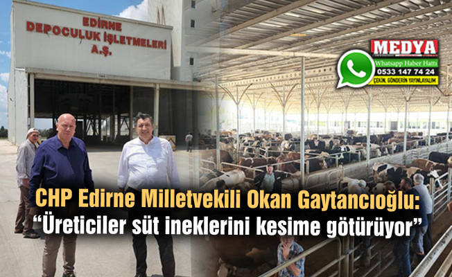 CHP Edirne Milletvekili Okan Gaytancıoğlu: “Üreticiler süt ineklerini kesime götürüyor”