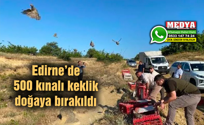 Edirne’de 500 kınalı keklik doğaya bırakıldı