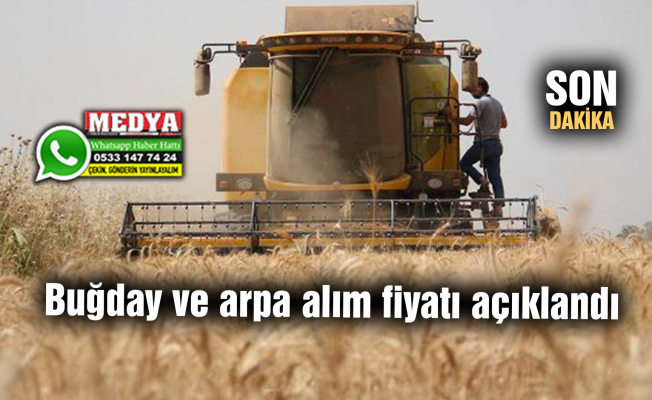 Erdoğan, buğday ve arpa alım fiyatını açıkladı