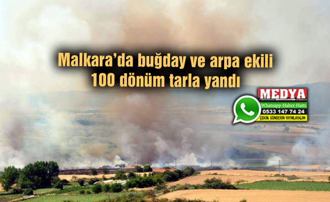 Malkara’da buğday ve arpa ekili 100 dönüm tarla yandı