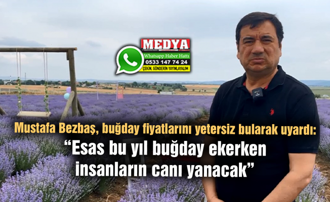 Mustafa Bezbaş, buğday fiyatlarını yetersiz bularak uyardı:  “Esas bu yıl buğday ekerken insanların canı yanacak”