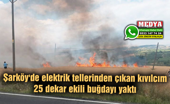 Şarköy'de elektrik tellerinden çıkan kıvılcım 25 dekar ekili buğdayı yaktı