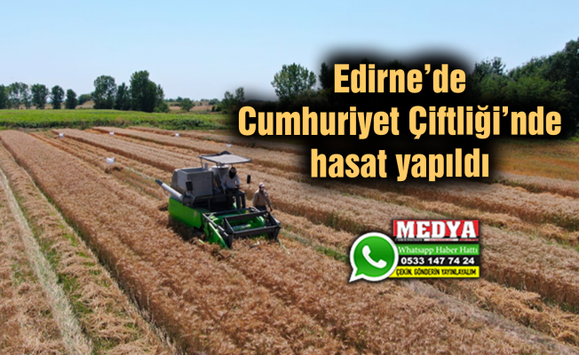Edirne’de Cumhuriyet Çiftliği’nde hasat yapıldı