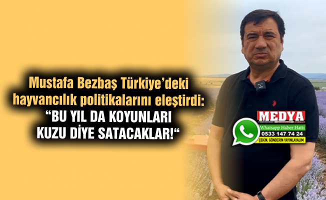 Mustafa Bezbaş Türkiye’deki hayvancılık politikalarını eleştirdi:  “BU YIL DA KOYUNLARI KUZU DİYE SATACAKLAR!“