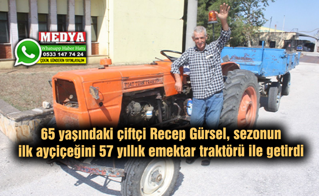 65 yaşındaki çiftçi Recep Gürsel, sezonun ilk ayçiçeğini 57 yıllık emektar traktörü ile getirdi