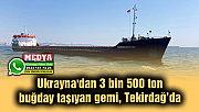 Ukrayna'dan 3 bin 500 ton buğday taşıyan gemi, Tekirdağ’da