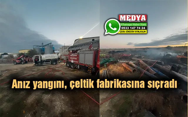 Anız yangını, çeltik fabrikasına sıçradı