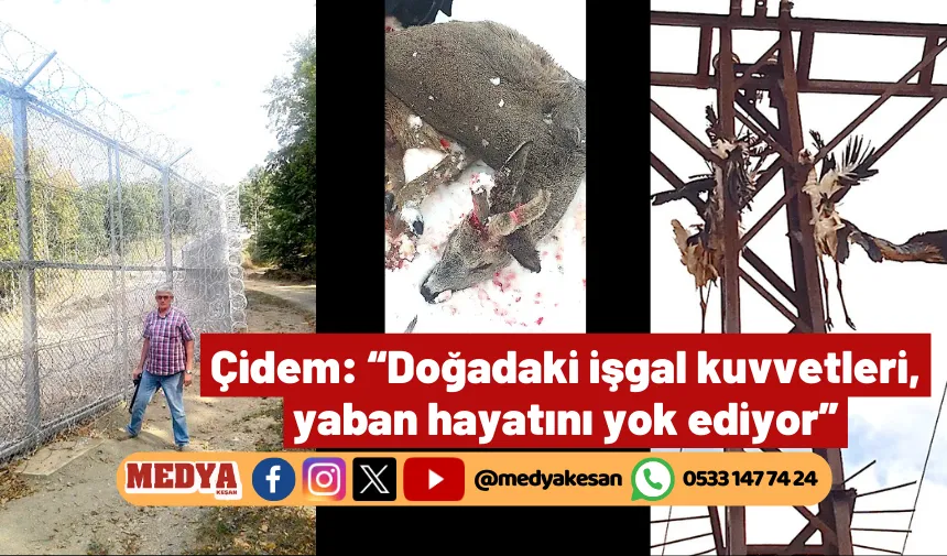 Çidem: “Doğadaki işgal kuvvetleri, yaban hayatını yok ediyor”