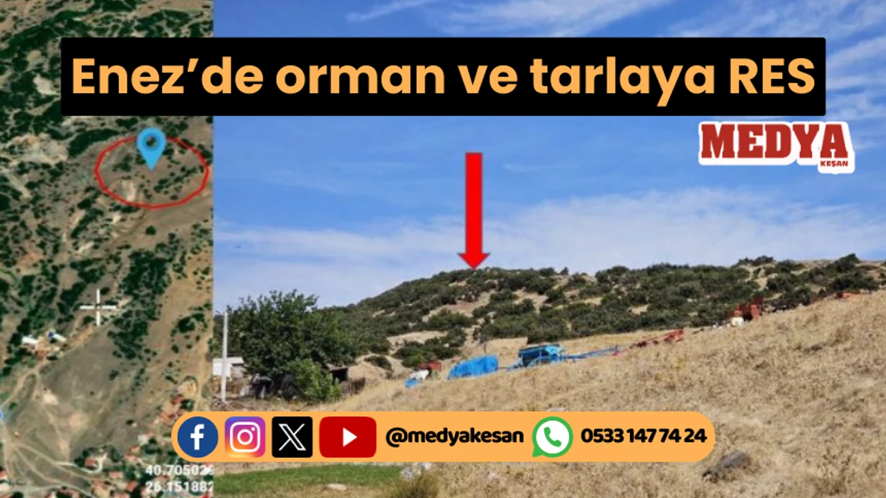 Enez’de orman ve tarlaya RES