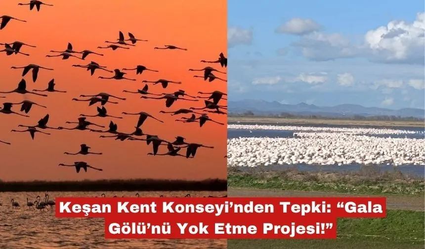 Keşan Kent Konseyi'nden "Gala Gölü'ne kıymayın"