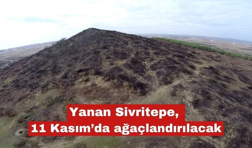 Keşan’da yangında zarar gören orman alanı ağaçlandırılacak