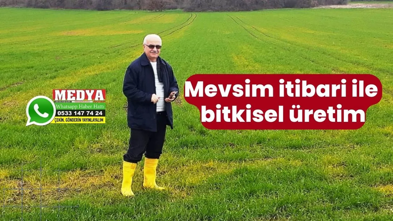 Mevsim itibari ile bitkisel üretim