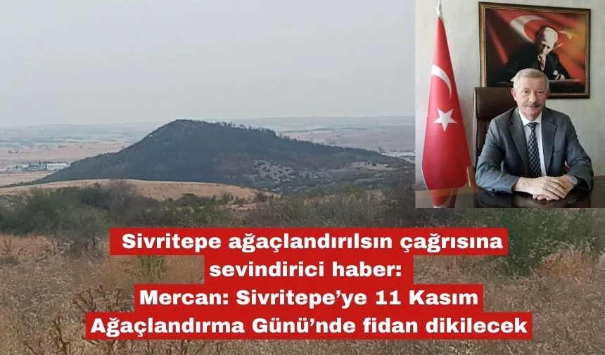 Sivritepe ağaçlandırılsın çağrımıza sevindirici haber