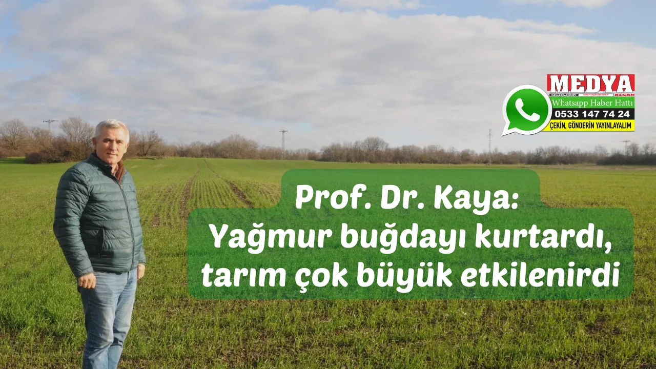 Yağmur buğdayı kurtardı, tarım çok büyük etkilenirdi