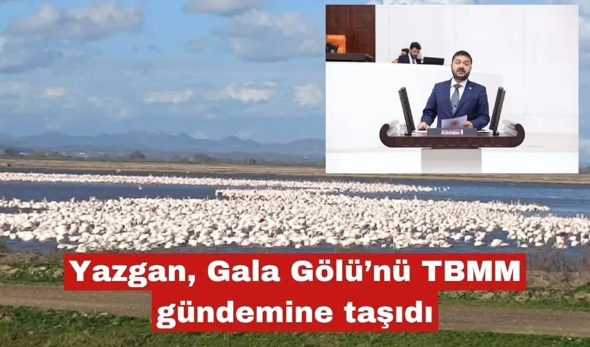Yazgan Gala Gölü'nü TBMM gündemine taşıdı