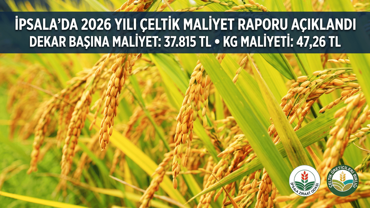 İpsala’da 2026 yılı çeltik maliyet raporu açıklandı
