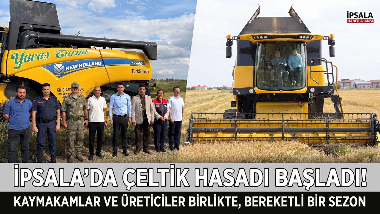 İpsala'da çeltik hasadı heyecanı başladı