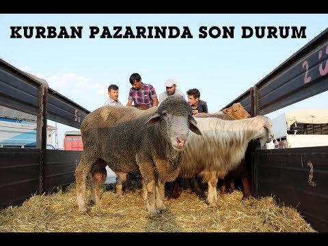 Keşan kurban pazarında son durum