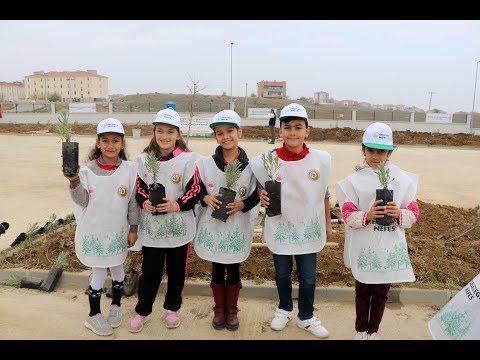 Keşan'da 45 bin fidan toprakla buluştu