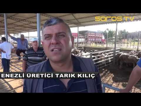 Keşan'da kurban pazarı hareketlendi