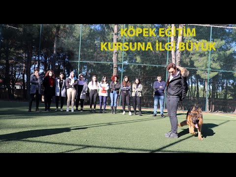 Keşan'da üniversite öğrencilerine 'köpek eğitim' kursu