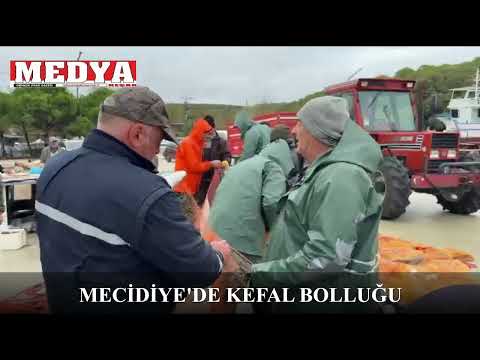 Mecidiye’de yıllar sonra kara kefal bereketi!