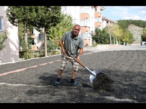 Rutubetli çekirdekler, sokakta kurutuluyor