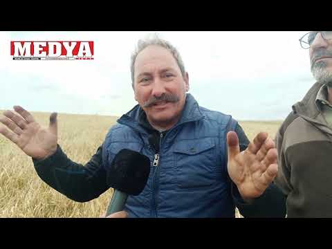 Tolga Akalın’dan dünyada bir ilk: Yer altı damlama ile çeltik üretimi